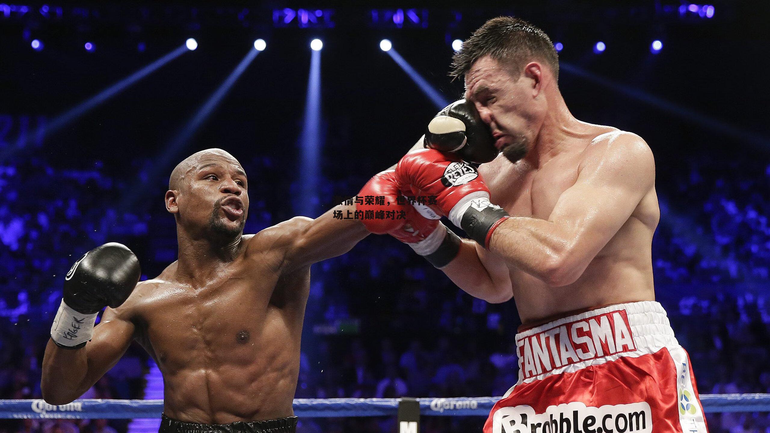 激情与荣耀,世界杯赛场上的巅峰对决